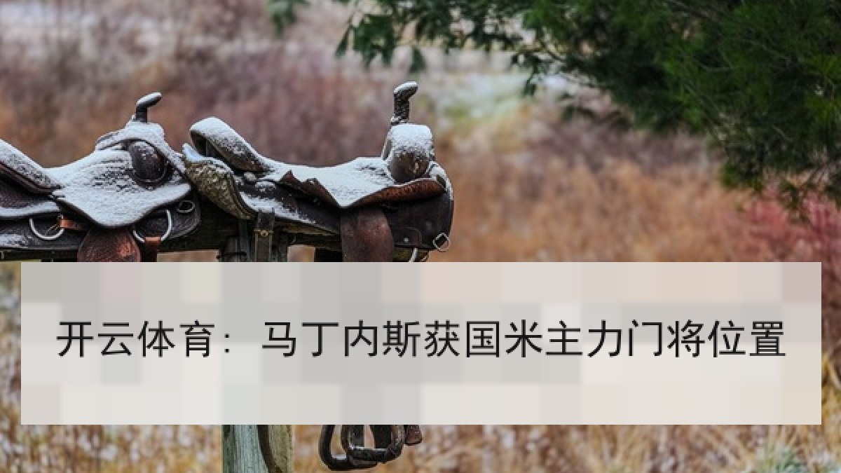 开云体育: 马丁内斯获国米主力门将位置 开云体育: 马丁内斯获国米主力门将位置